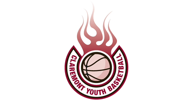 Check out the CYB Maroon Book